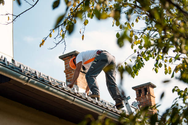Roof Gutter Cleaning in Mcpherson, KS